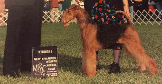 Mercy Airedale